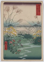 The Otsuki Plain